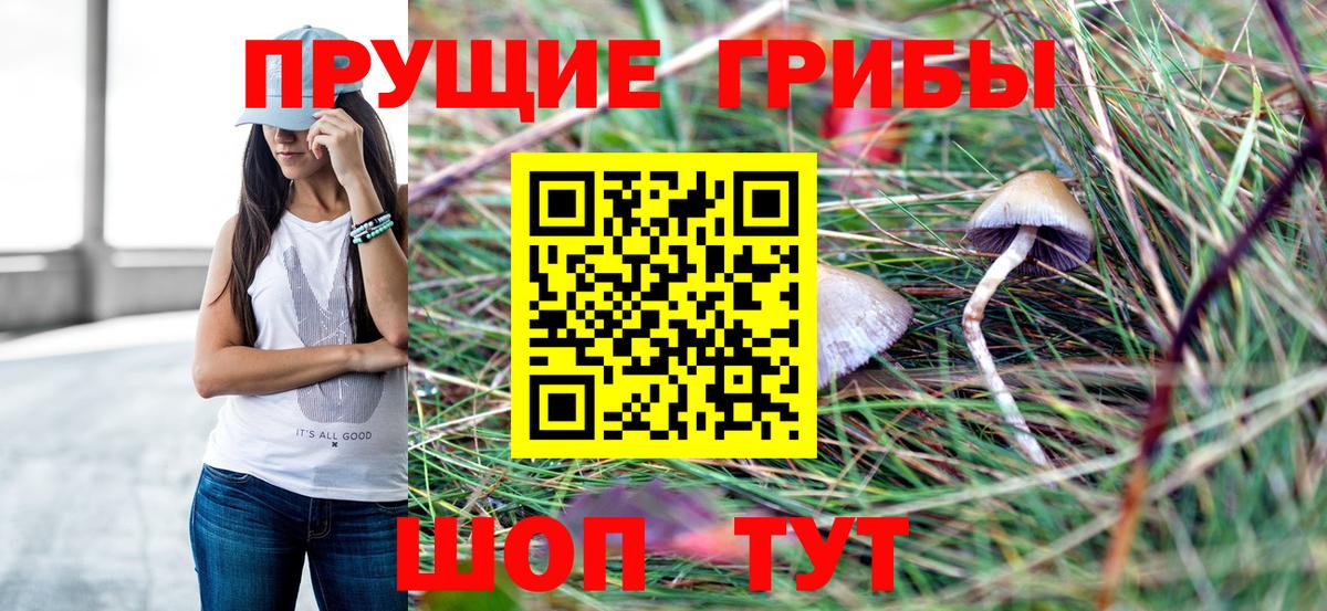 купить наркотики сайты  Вход с VPN  Вольск  Галлюциногенные грибы Psilocybine cubensis 